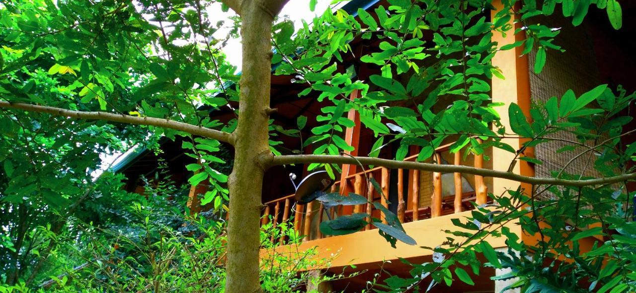 Luck Uyana Cabana Pinnawala Exterior foto